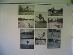 Sk8 select 14