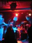 IMG 8737