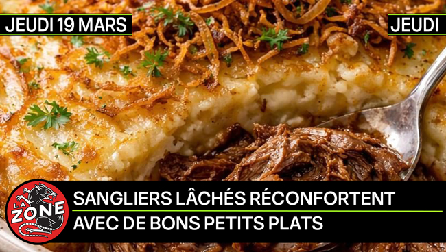 Sangliers Lâchés vous réconforte !