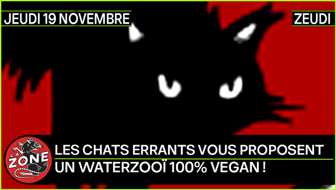 Les Chats Errants vous proposent un waterzooï 100% vegan !